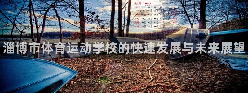 yy易游官方正版app五金厂：淄博市体育运动学校的快