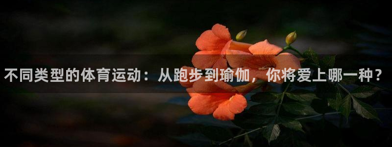 yy易游官网下载招商电话号码是多少号：不同类型的体育