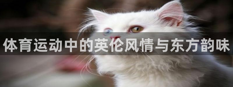 yy易游官网下载招商电话地址是多少：体育运动中的英伦