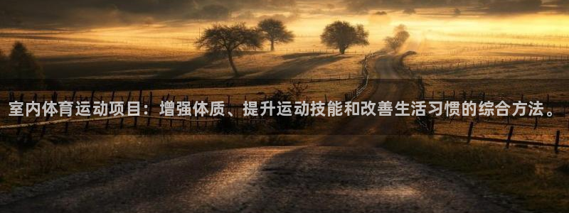 yy易游官方正版app新能源：室内体育运动项目：增强
