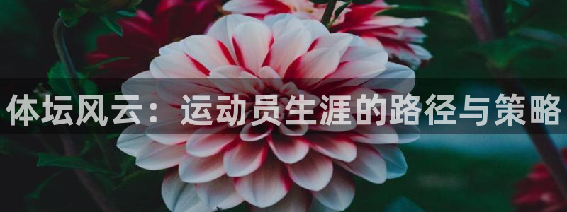 yy易游官网下载软件：体坛风云：运动员生涯的路径与策