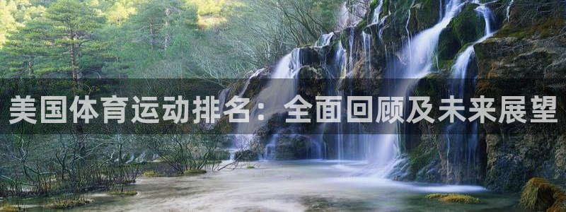 yy易游官方正版app官方：美国体育运动排名：全面回