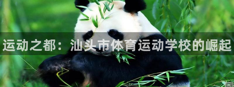 yy易游官网下载官方客服电话：运动之都：汕头市体育运