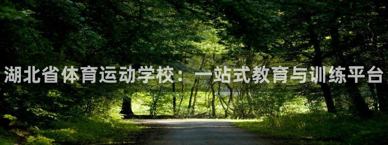 yy易游官方正版app集团：湖北省体育运动学校：一站