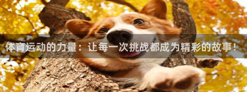 yy易游官网下载招商电话号码是多少号：体育运动的力量