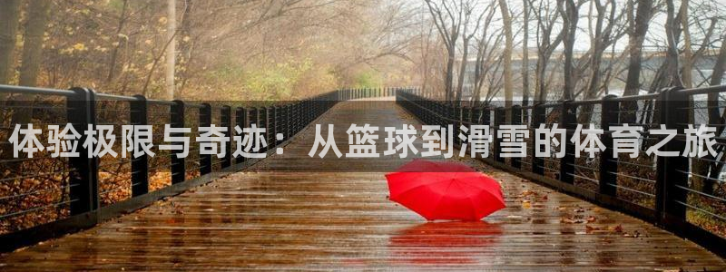 yy易游官网下载平台是正规平台吗：体验极限与奇迹：从篮球到滑