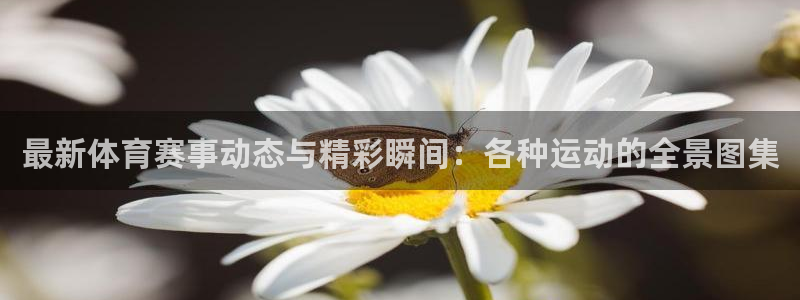 yy易游官方正版app集团官网首页网址：最新体育赛事动态与精