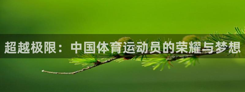 yy易游官网下载招商：超越极限：中国体育运动员的荣耀