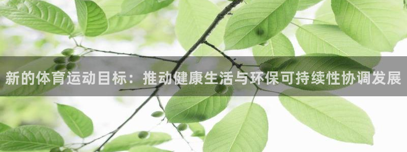 德国yy易游官方正版app集团：新的体育运动目标：推