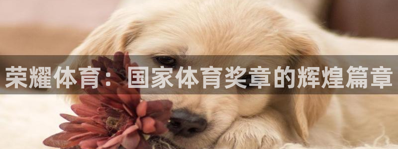 yy易游官方正版app开户：荣耀体育：国家体育奖章的