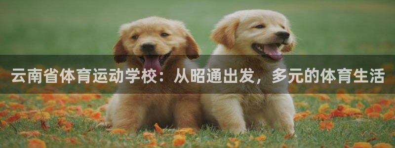 yy易游官方正版app集团E.ON：云南省体育运动学校：从昭