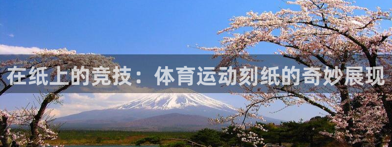 德国yy易游官方正版app集团：在纸上的竞技：体育运动刻纸的