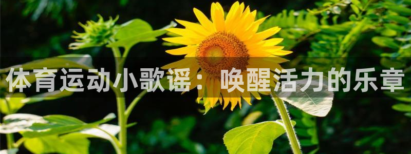 yy易游官网下载招商电话是多少号码：体育运动小歌谣：唤醒活力