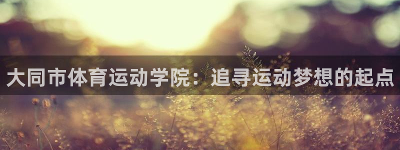 yy易游官方正版app集团官网首页：大同市体育运动学院：追寻