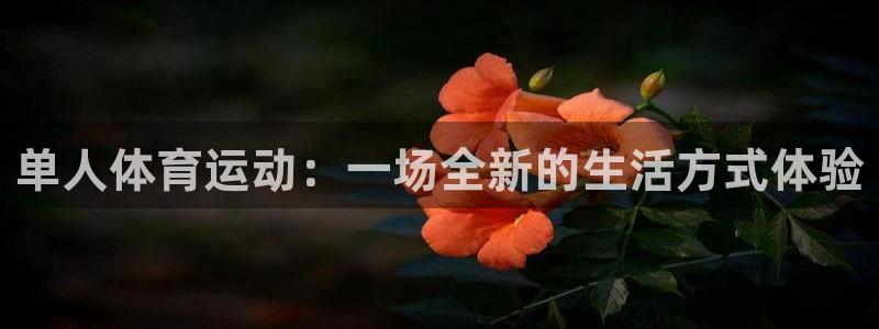 yy易游官网下载平台注册流程图：单人体育运动：一场全