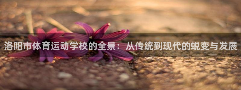 yy易游官方正版app娱乐是那个系列的台子：洛阳市体