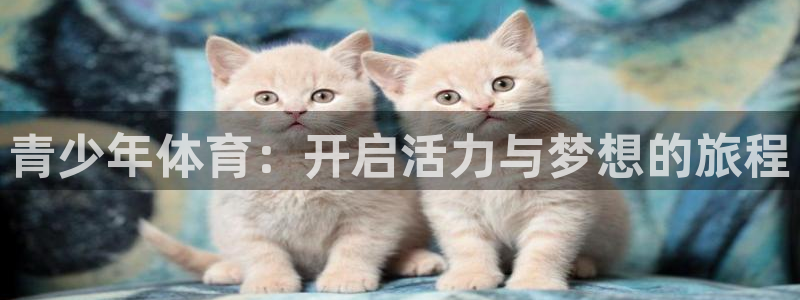 德国yy易游官方正版app集团：青少年体育：开启活力与梦想的