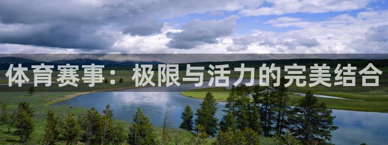 yy易游官方正版app代理：体育赛事：极限与活力的完美结合
