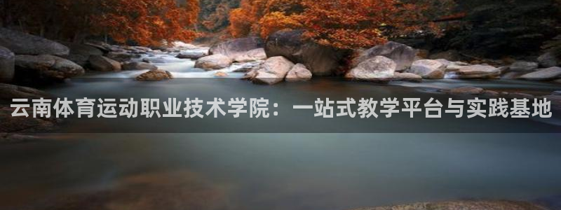 yy易游官网下载是干嘛的公司：云南体育运动职业技术学